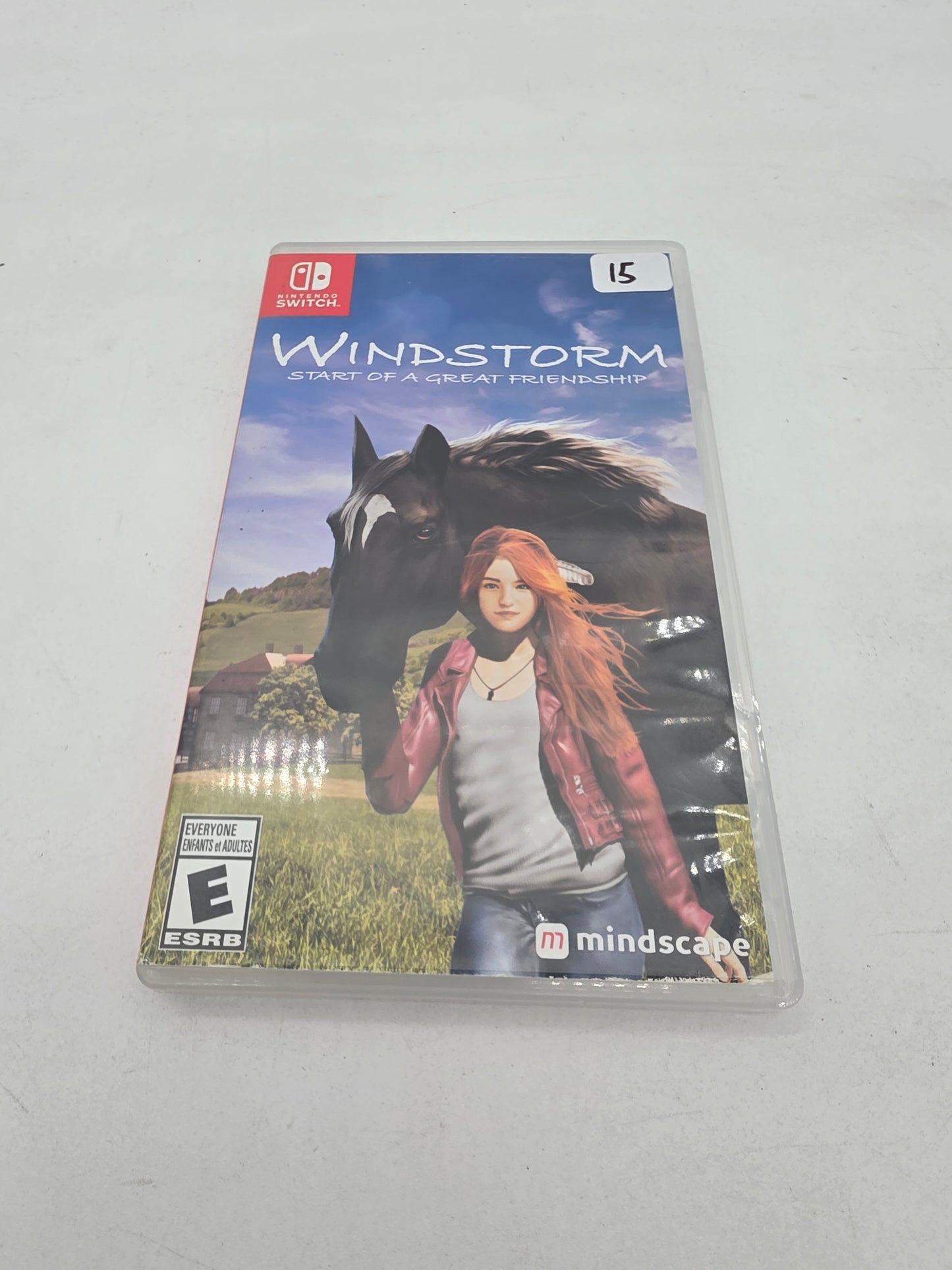 Windstorm: Start of a Great Friendship - Nintendo Switch (Complete)