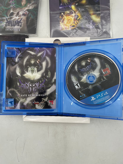 Anima: Gate of Memories Beyond Fantasy Edition - Playstation 4 (Complete)