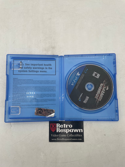 Shadow Warrior - Playstation 4 (Complete)