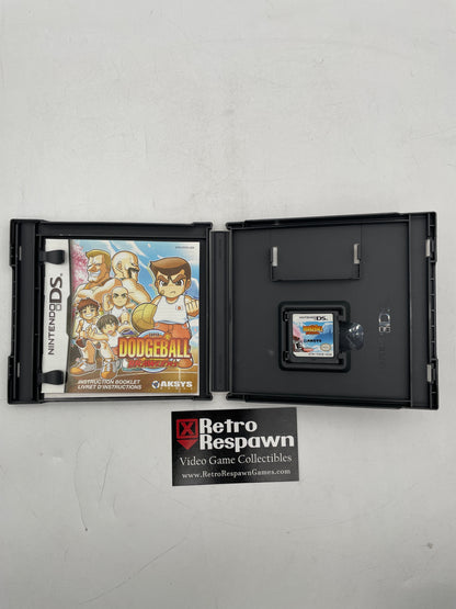 Super Dodgeball Brawlers - Nintendo DS (Complete)