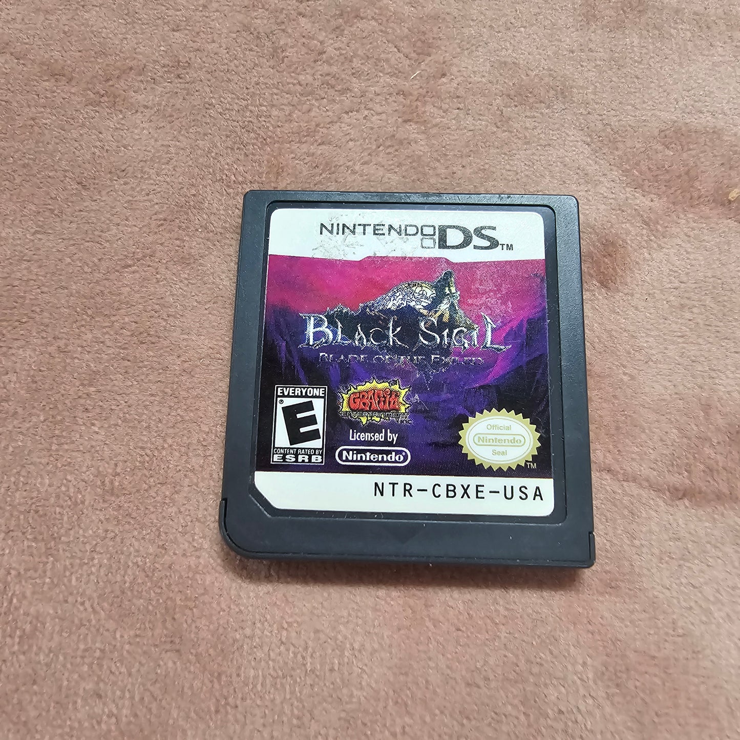 Black Sigil: Blade of the Exiled - Nintendo DS