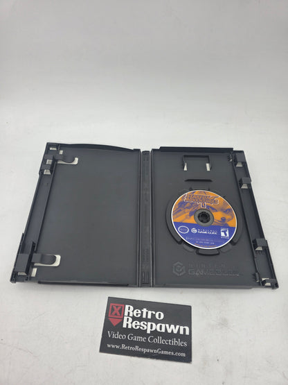 Star Fox Adventures - Gamecube (Missing Manual)
